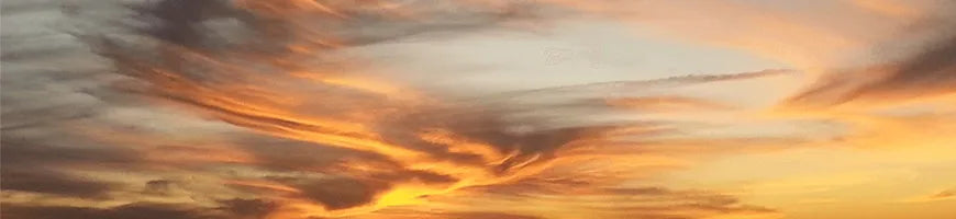Golden hour photography