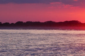Photographing a sunset