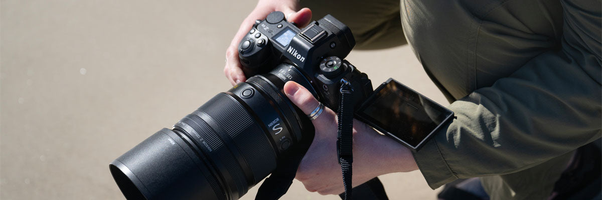 Comparing the Nikon Z6 II, Z6 III and Z8