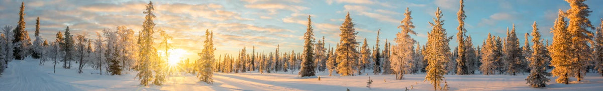Taking photos in winter