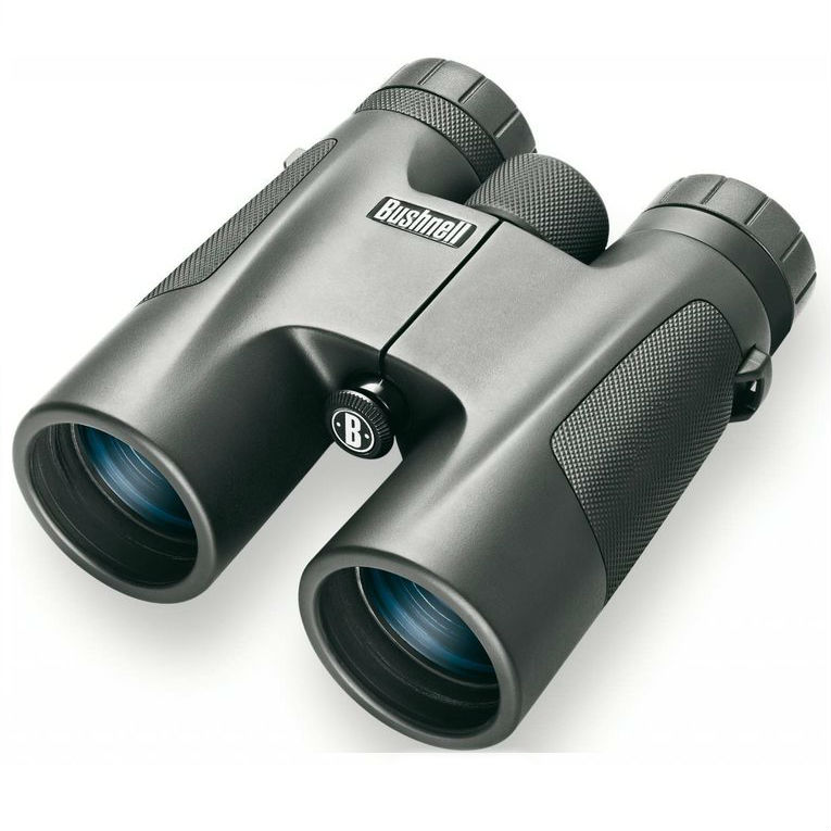 Bushnell Powerview 10x42