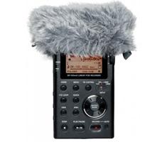 Tascam WS-11 Windscreen for DR Series