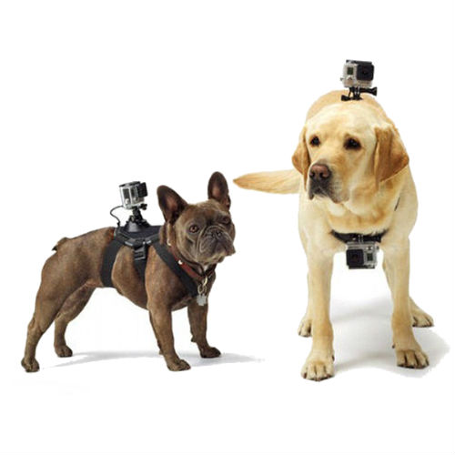 Gopro Fetch Dog Harness