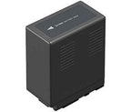 Panasonic VW-VBG6 battery