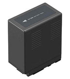 Panasonic VW-VBG6 battery
