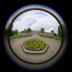 Lensbaby Circulair Fisheye lens MFT