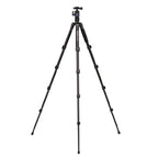 Benro FIT29AIH1 iTrip Tripod Kit