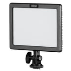 Ledgo E116C Bi-Color