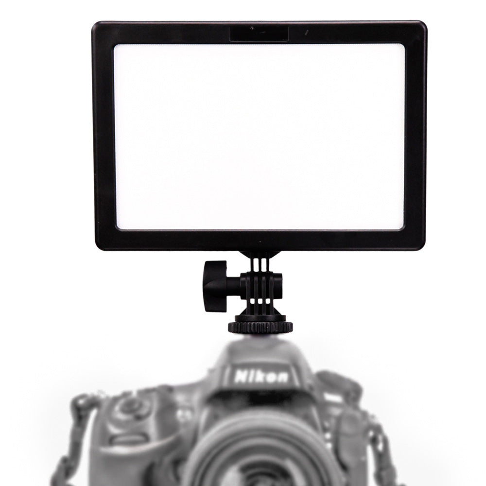 Ledgo E116C Bi-Color