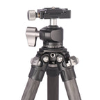 Leofoto Ranger LS-224C + ball head LH-25