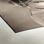 Hahnemühle Photo Rag 308gsm A3+ 25 Sheets