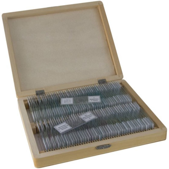 Bresser Microscope preparaten 100 pcs