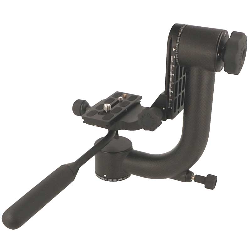 Caruba Swinghead Carbon including Handle