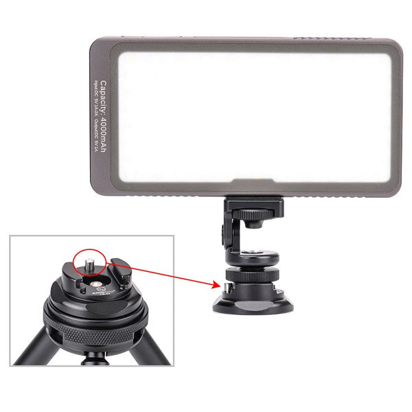 Sunwayfoto Quick Release Plate Cold Shoe CB-02
