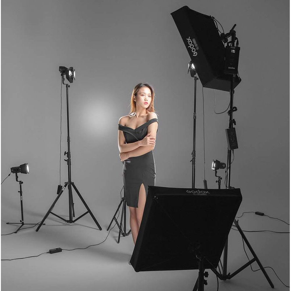 Godox Softbox and Grid for Soft LED light FL60