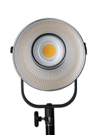 Nanlite Forza 200 LED light