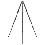 Benro Tortoise TTOR24C tripod