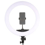 StudioKing LED Ring Lamp Set 65W LR-650