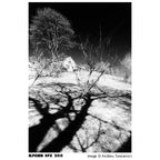 Ilford SFX200 200 120