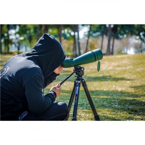 Leofoto BV-5 Liquid video head