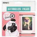 Fujifilm Instax Accordion Frame Dog