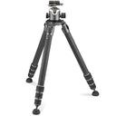 Gitzo GK5543LS-83LR Systematic Kit Series 5 with Ball Head Series 4 LR