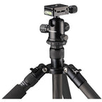 Bresser BR-2504X8C-B1 Carbon