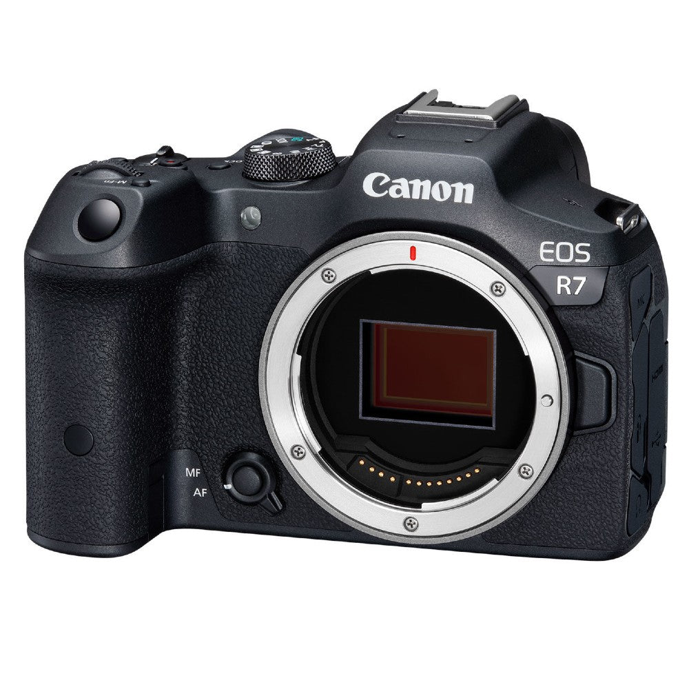 Canon EOS R7 + RF 24-105 f/4L IS USM