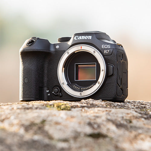 Canon EOS R7 + RF 24-105 f/4L IS USM