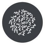 Godox GP-GS2 GOBO Set for MG1200Bi