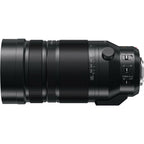 Panasonic Lumix DC-G9II + Leica DG Vario-Elmar 100-400mm
