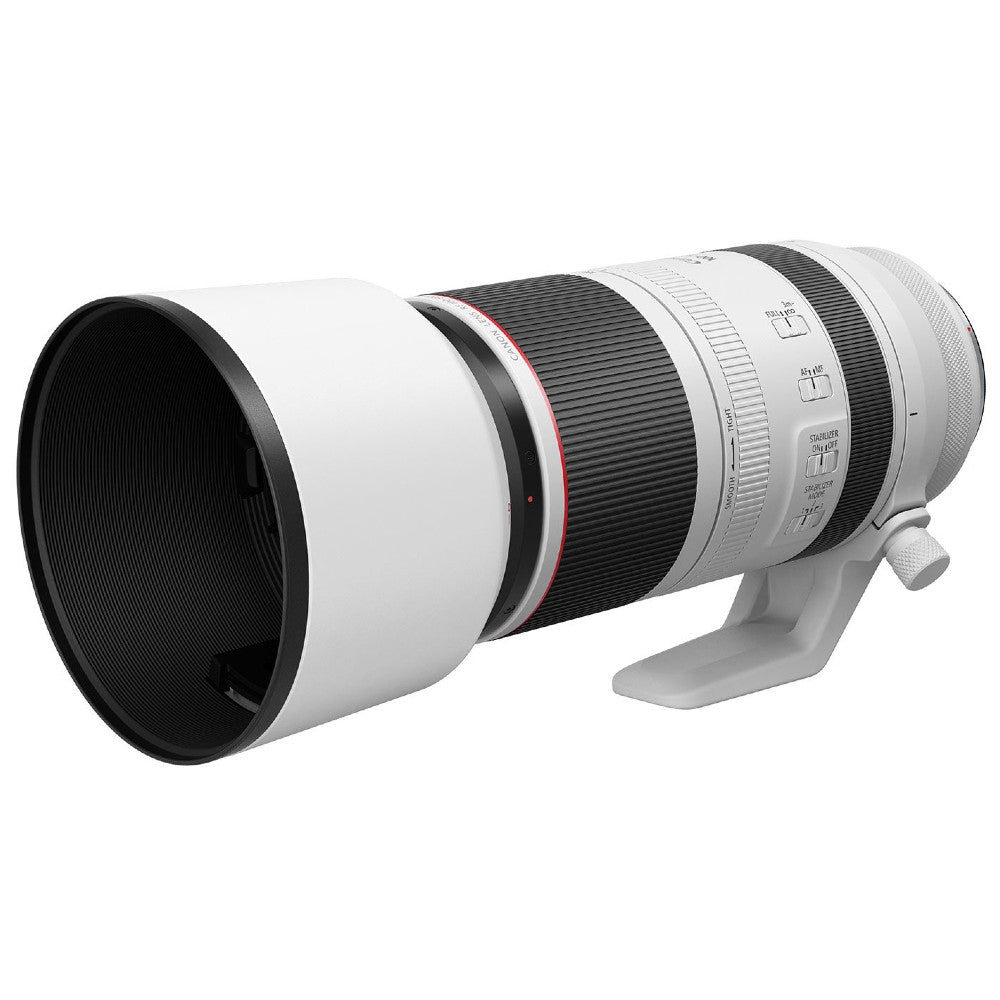 Canon EOS R7 + RF 100-500mm f/4.5-7.1L IS USM