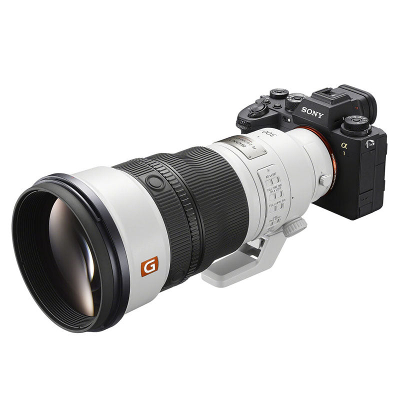Sony FE 300mm f/2.8 GM OSS + FE 2.0x Teleconverter