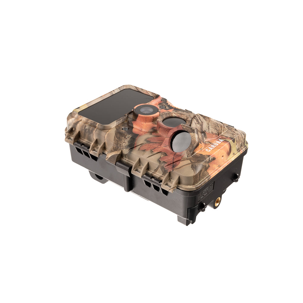 Caruba Wildlife camera Moose 4K
