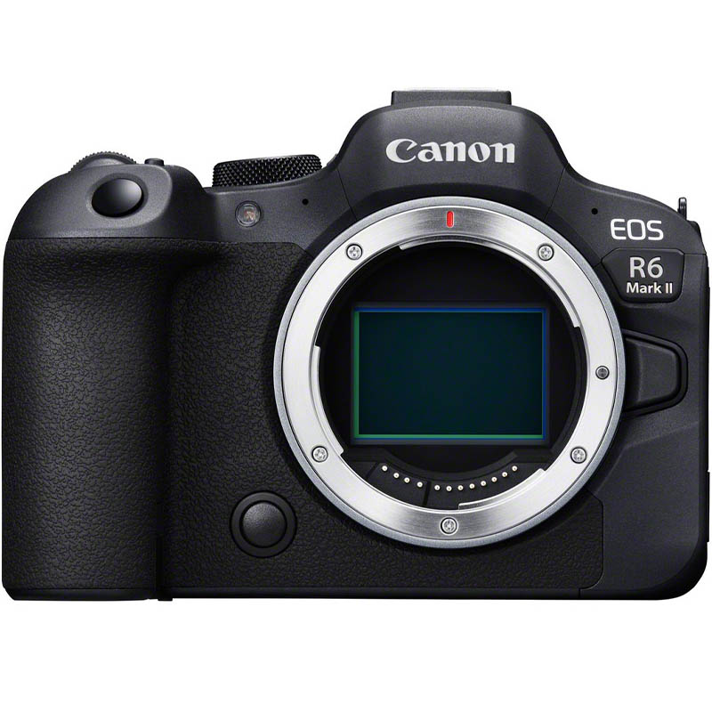 Canon EOS R6 Mark II + EF - RF mount adapter