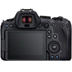 Canon EOS R6 Mark II + EF - RF mount adapter