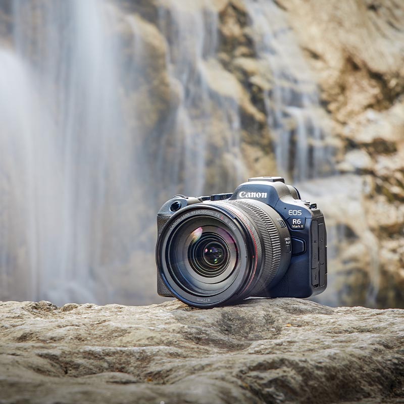 Canon EOS R6 Mark II + EF - RF mount adapter