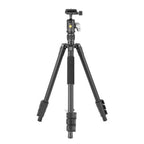 Vanguard VESTA GO 204AB