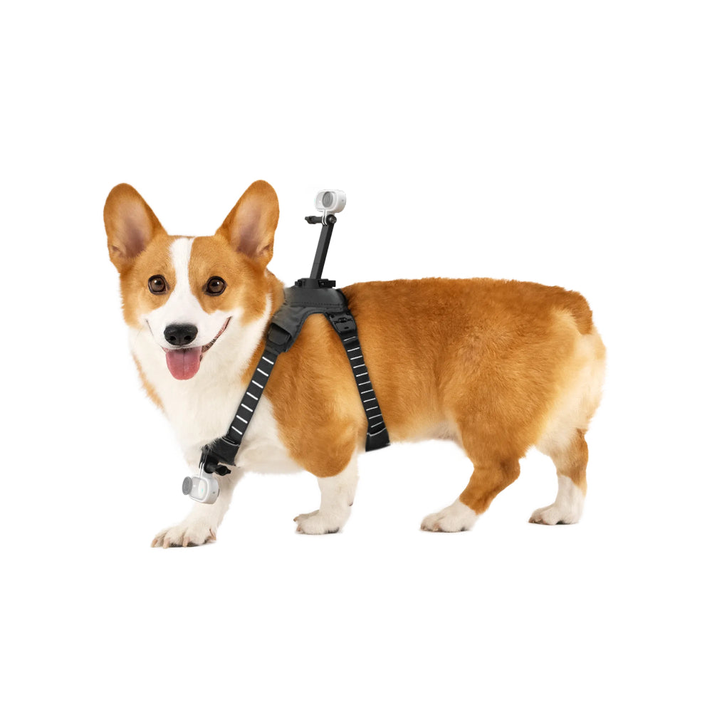 Insta360 Pet Harness Mount Size M