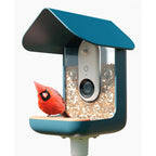 Bird Buddy 2.0 Smart Bird feeder with solar panel