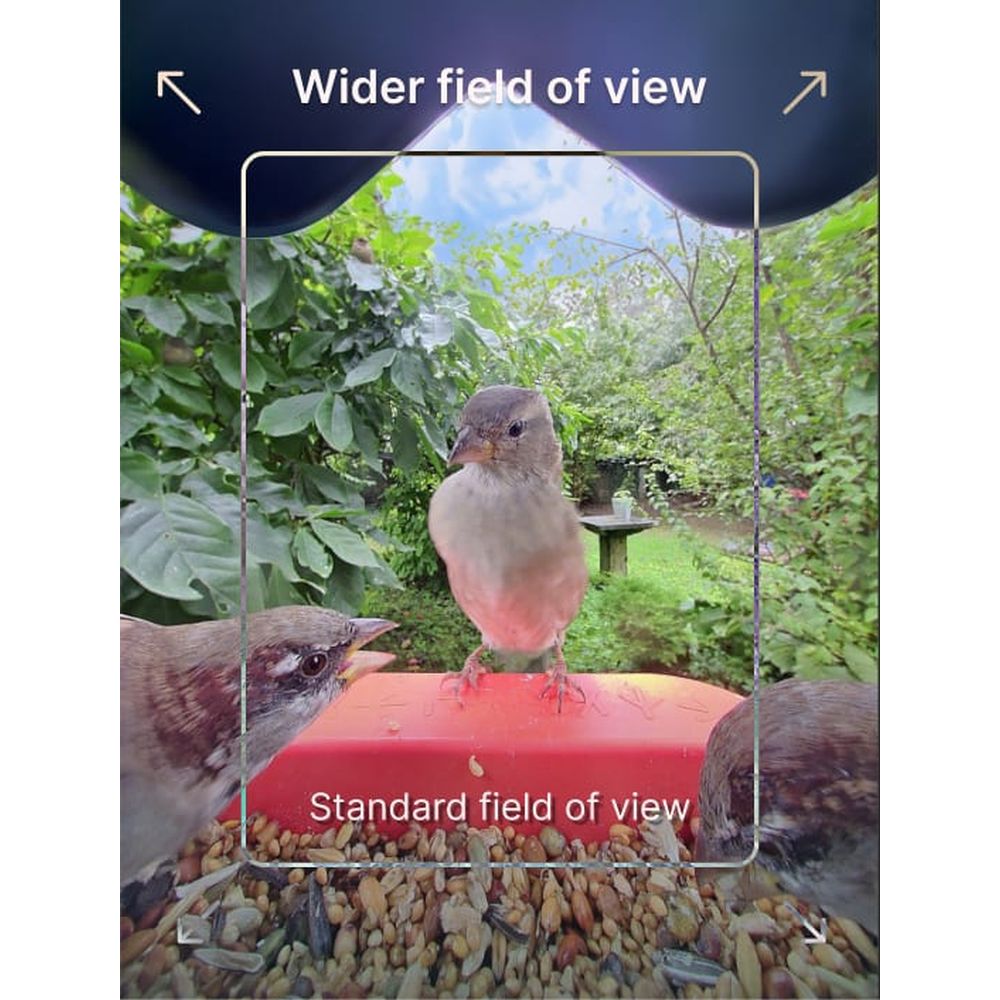 Bird Buddy 2.0 Smart Bird feeder with solar panel