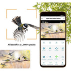 Camouflage EZ-BirdFeed Wildlife Camera