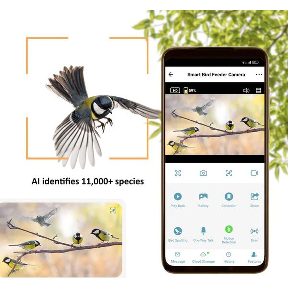 Camouflage EZ-BirdFeed Wildlife Camera
