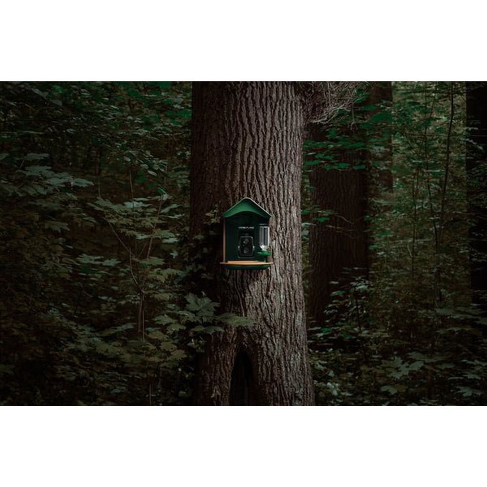 Camouflage EZ-BirdFeed Wildlife Camera