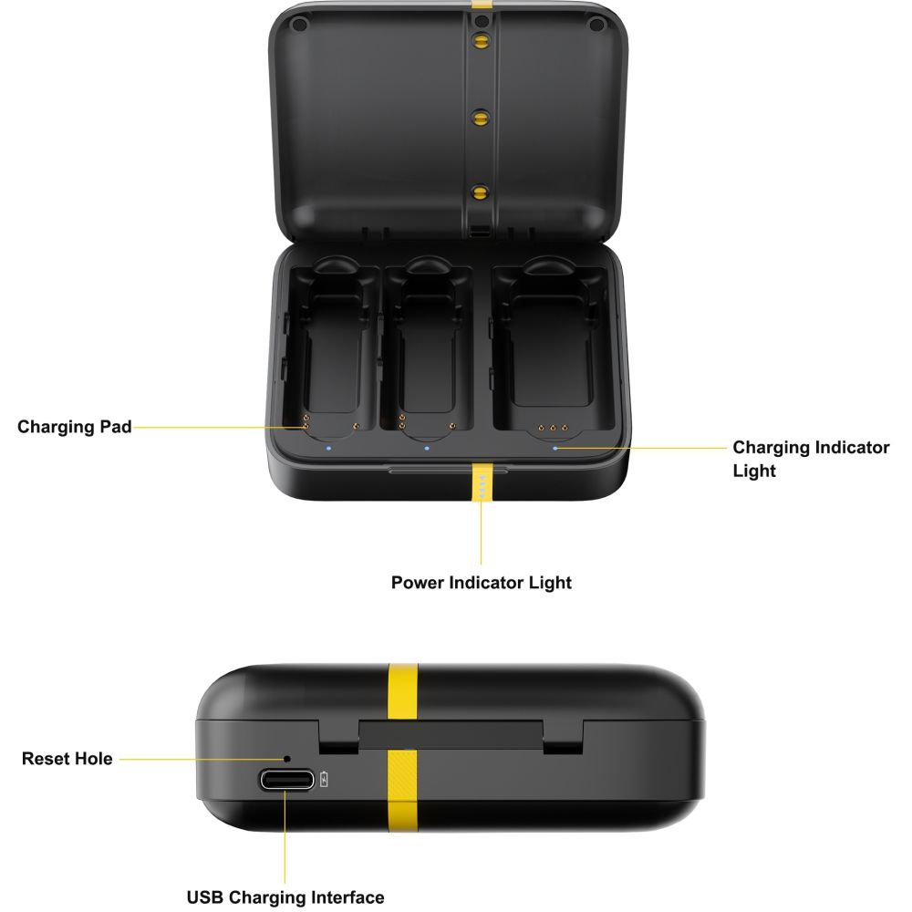 7RYMS iRay DW10 wireless microphone with 2 transmitters + Case, black