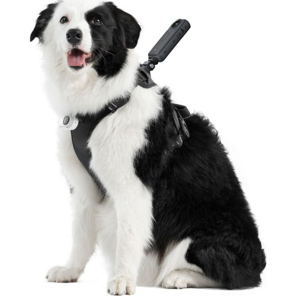 INSTA360 Pet Harness Mount Size L