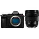 Panasonic LUMIX S5D Mirrorless camera + S 24-60mm f/2.8 L-mount