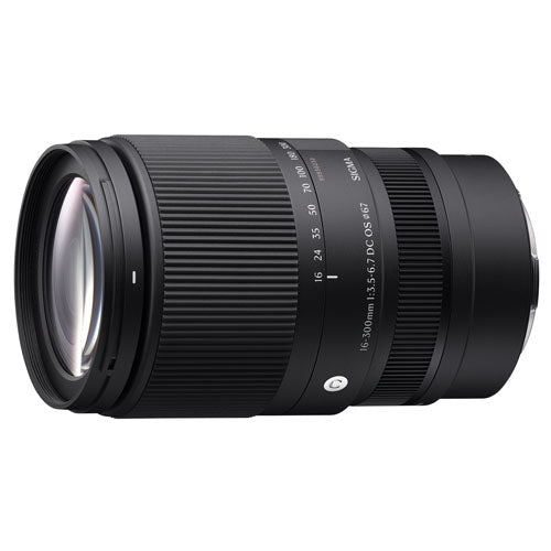 Canon EOS R10 Mirrorless Camera + Sigma 16-300mm f/3.5-6.7 DC OS