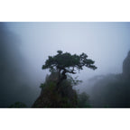 7artisans 14mm f/2.8 Sony E - Black