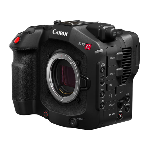 Canon Cinema EOS C80 + RF 24-105mm f/2.8 L IS USM Z
